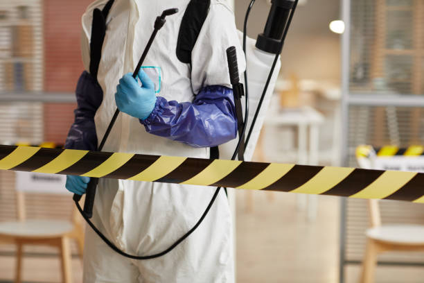 Professional Sewage Cleanup technician working in Greeley, CO
